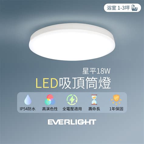 燈筒|LED 筒燈